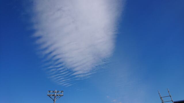 秋の青空