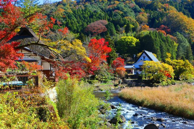 香嵐渓19年11月20日