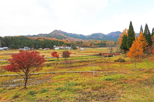 紅葉する山里3