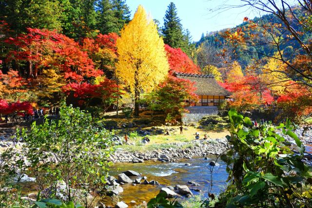 香嵐渓19年11月20日