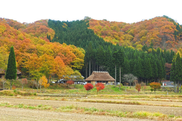 紅葉する山里4 古民家