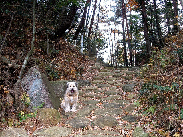 中山道の琵琶峠