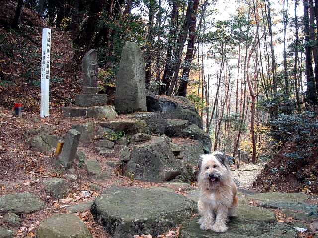 中山道の琵琶峠