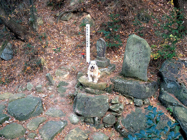 中山道の琵琶峠