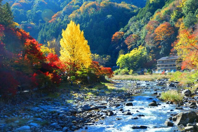 秋の香嵐渓