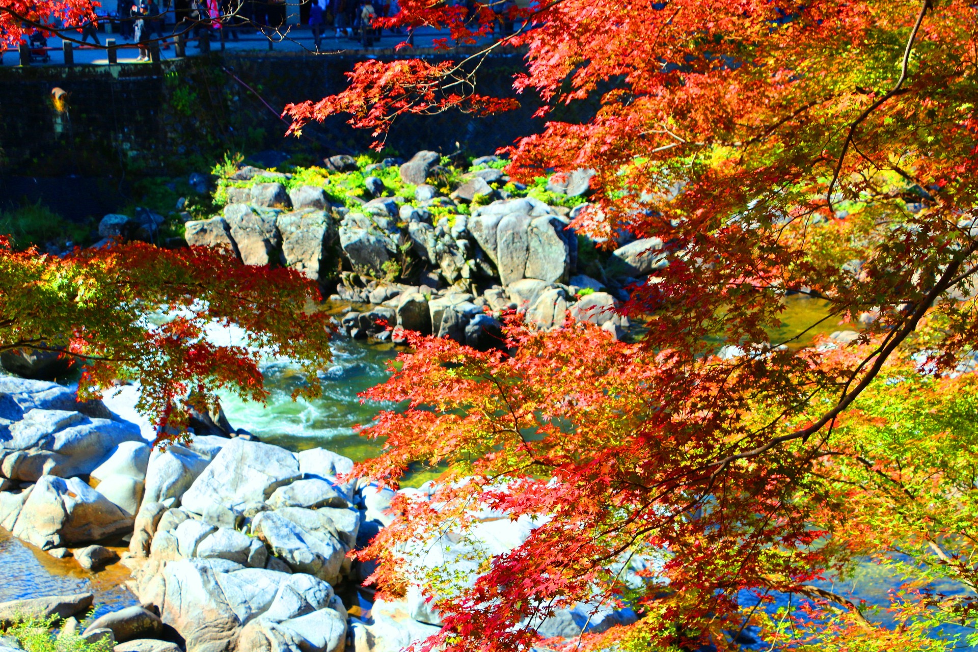 日本の風景 秋の香嵐渓 壁紙19x1280 壁紙館