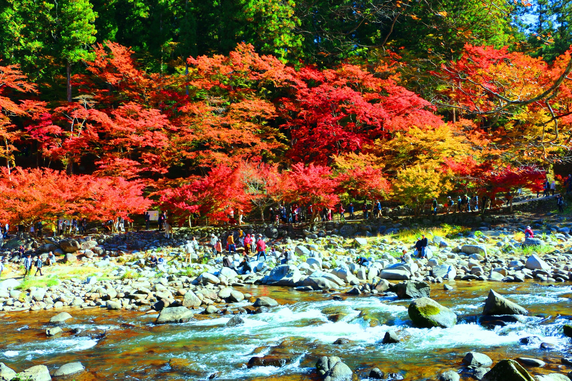 日本の風景 秋の香嵐渓 壁紙1920x1280 壁紙館