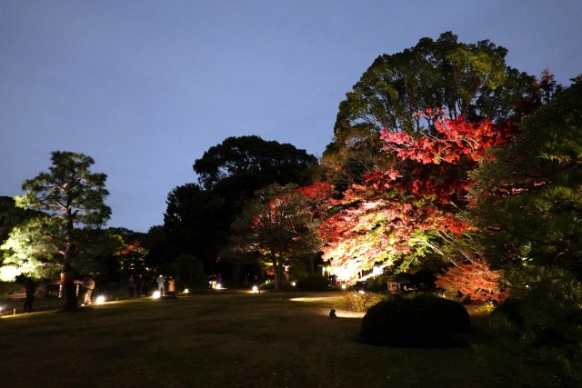 六義園の紅葉ライトアップ