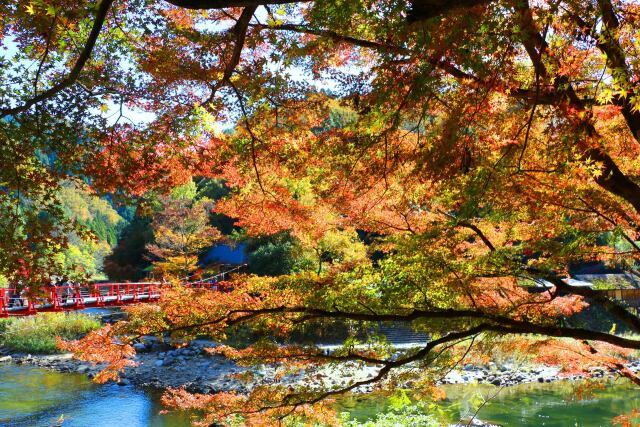 香嵐渓紅葉