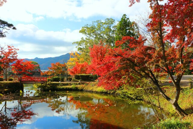 大覚寺紅葉