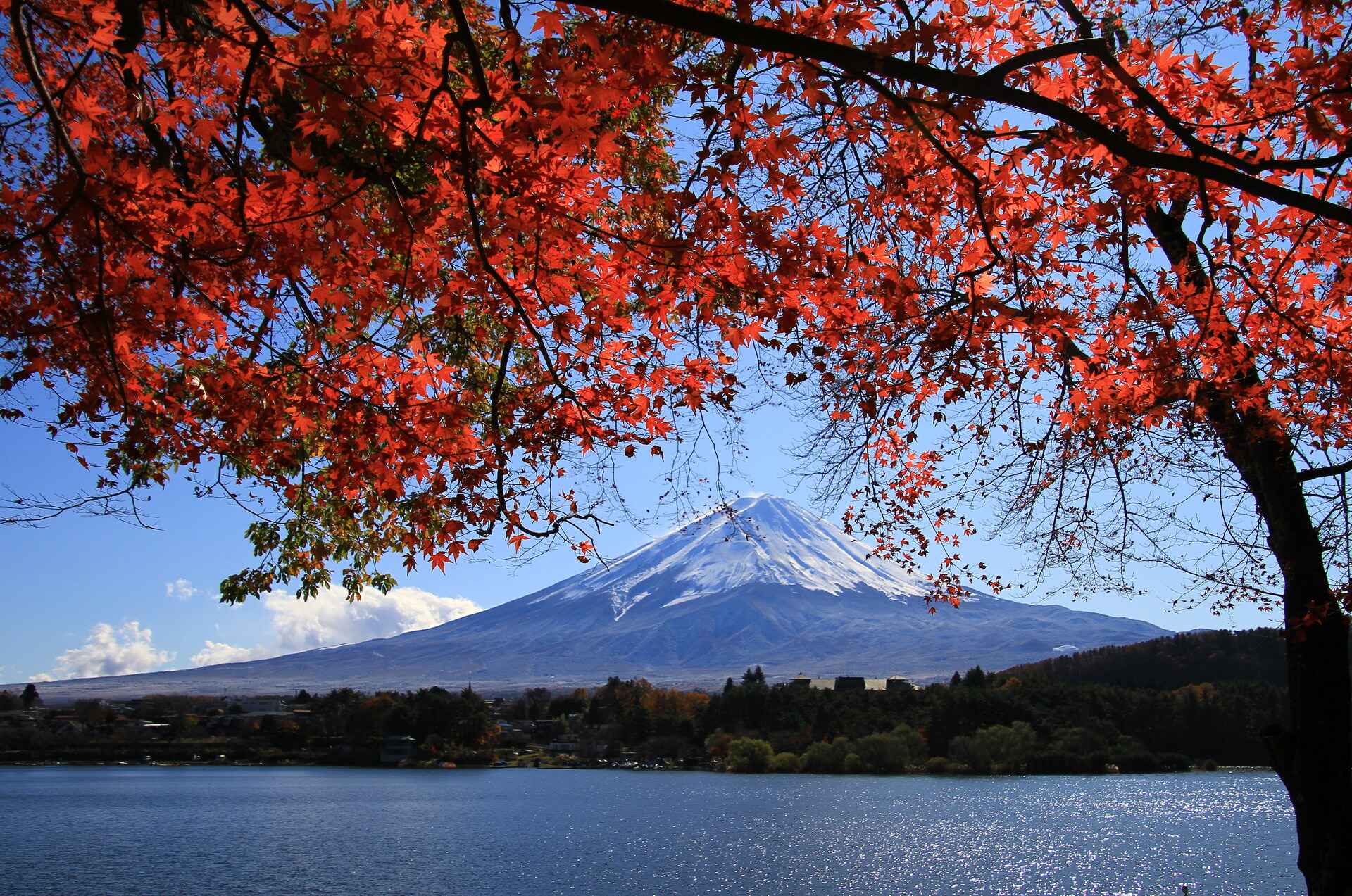 日本の風景 富士山に紅葉 壁紙19x1273 壁紙館