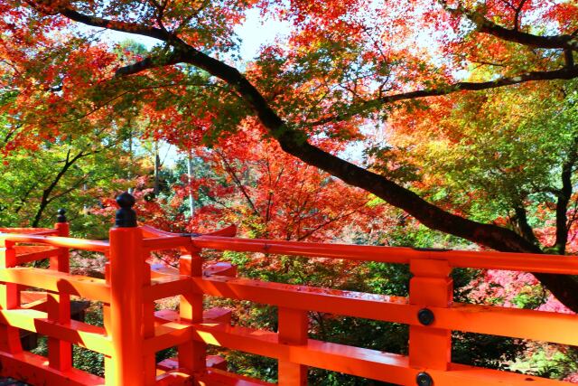 北野天満宮19年11月29日