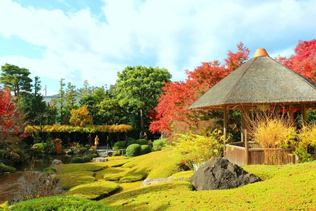 妙心寺紅葉