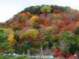 嵐山19年11月29日