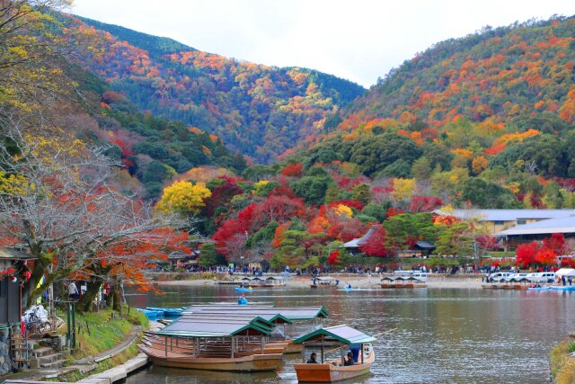 嵐山19年11月29日