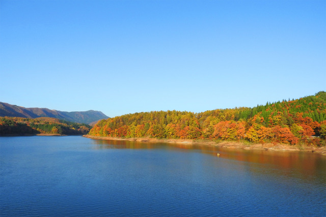 湖畔の森の紅葉4