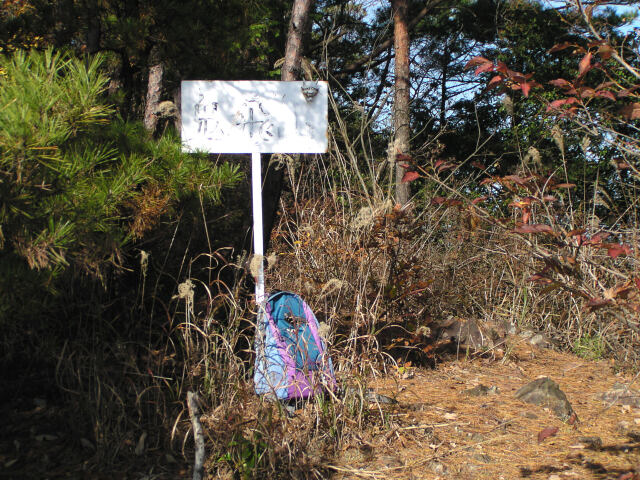 鬼飛山山頂