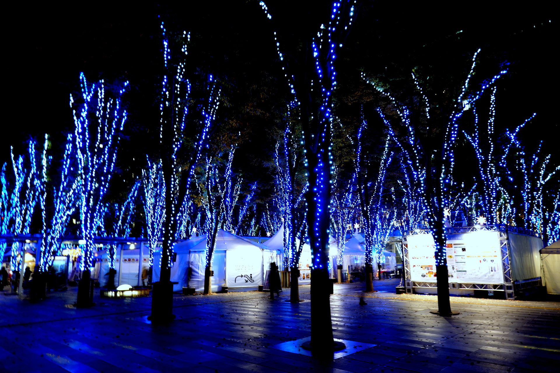 夜景 花火 イルミ ケヤキ広場のイルミ 壁紙19x1280 壁紙館