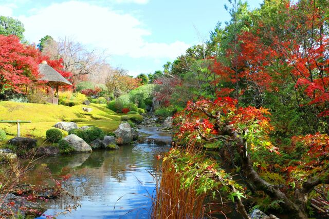 妙心寺19年11月29日