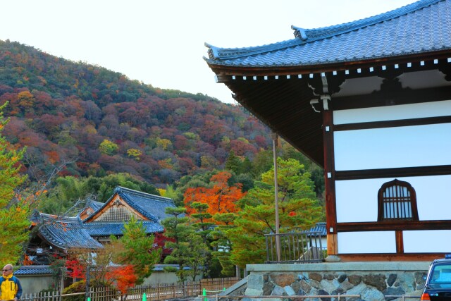 天龍寺から嵐山