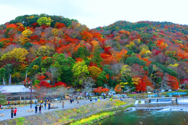 嵐山19年11月29日