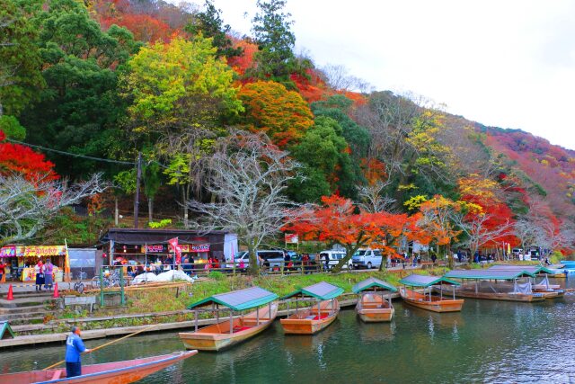 嵐山19年11月29日