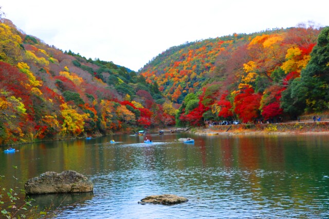 嵐山19年11月29日