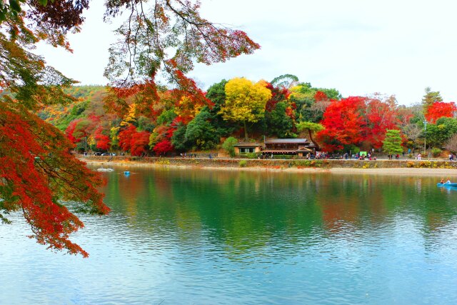 嵐山19年11月29日