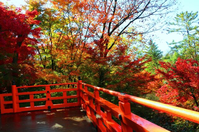 北野天満宮19年11月29日