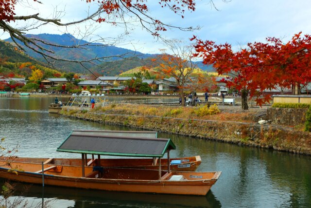 嵐山19年11月29日