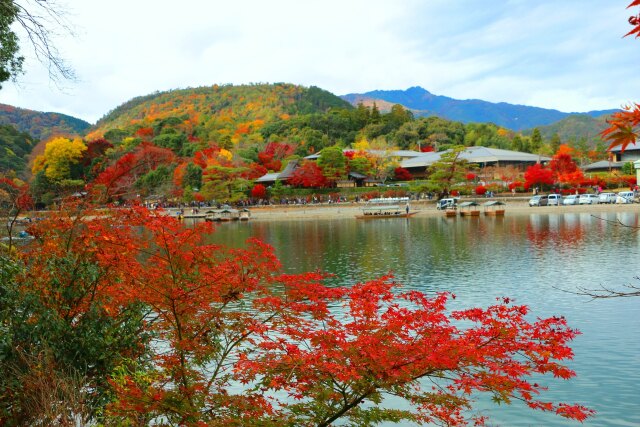 嵐山19年11月29日