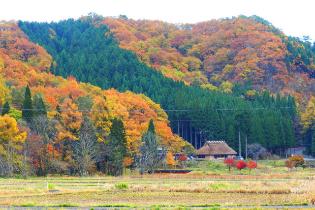 紅葉する山里6 古民家