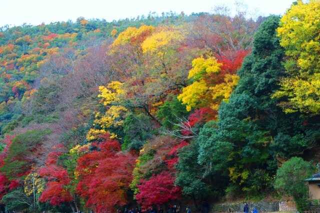 嵐山紅葉