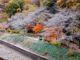 小渕ダム公園