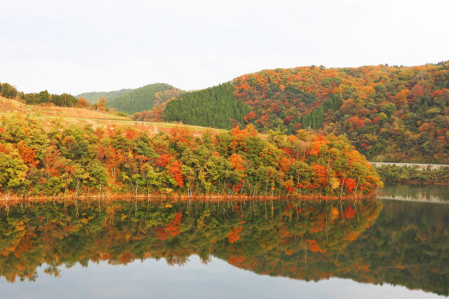 湖畔の森の紅葉5