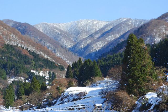 初雪 山里から