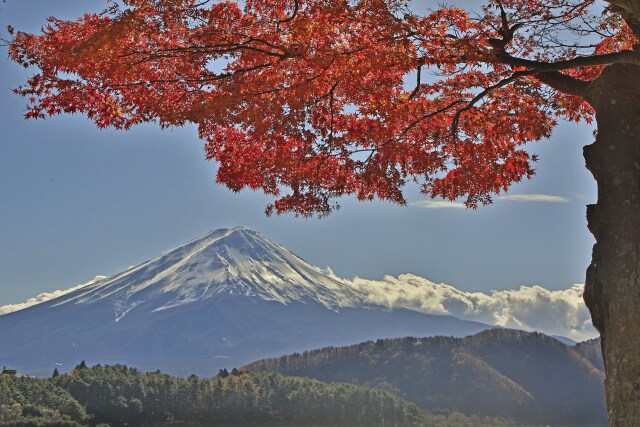 富士山と紅葉