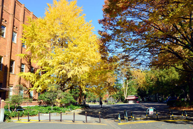 晩秋の日比谷公園・1