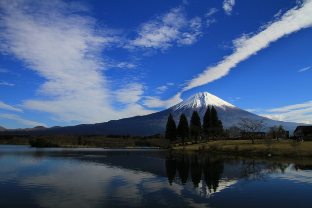 水面に映る風景