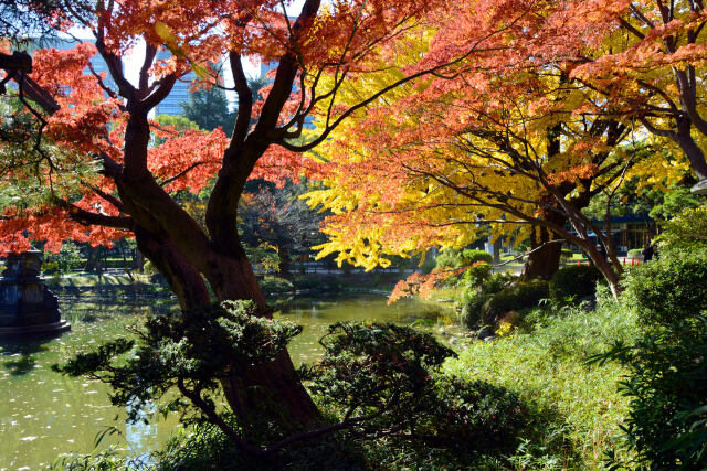 晩秋の日比谷公園・4