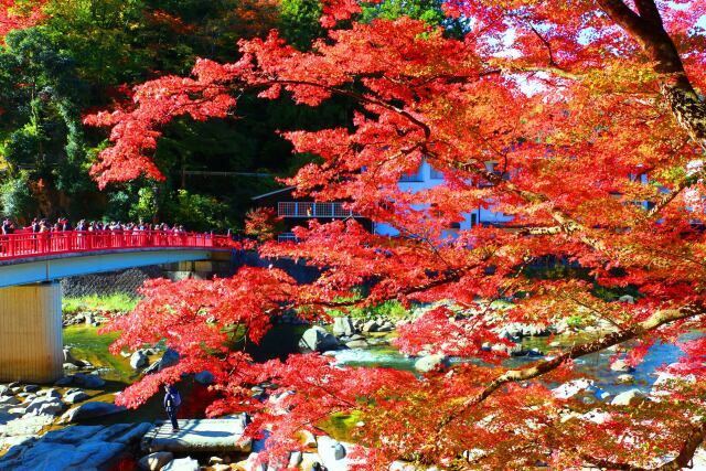 香嵐渓紅葉