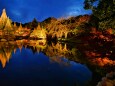 白鳥庭園19年12月6日夜景