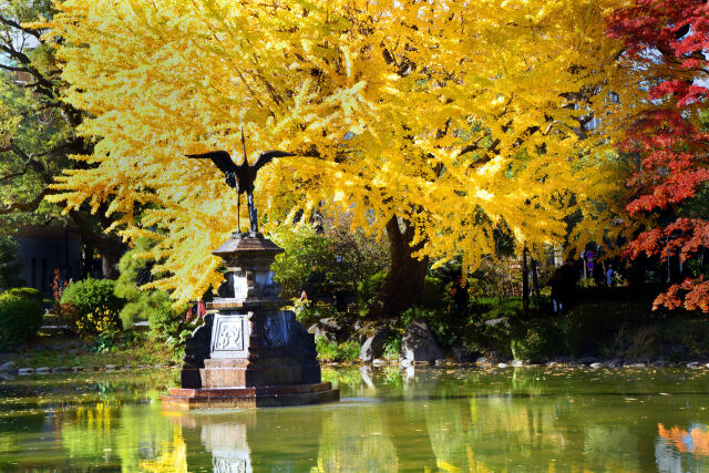 晩秋の日比谷公園・5