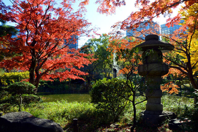 晩秋の日比谷公園・6