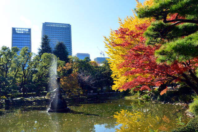 晩秋の日比谷公園・7