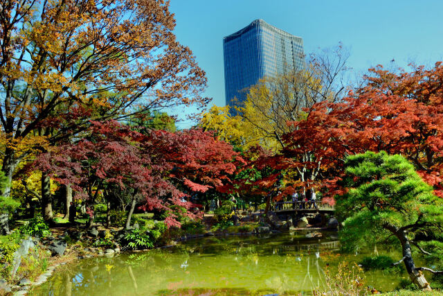 晩秋の日比谷公園・8