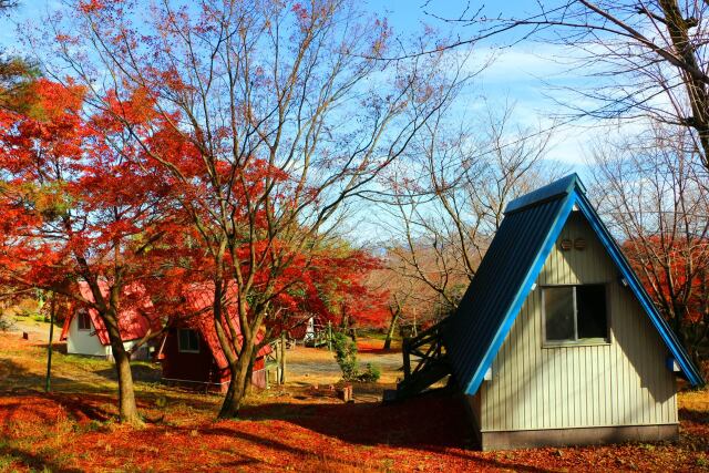 養老公園19年12月6日