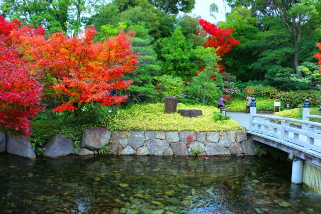 徳川園19年12月6日