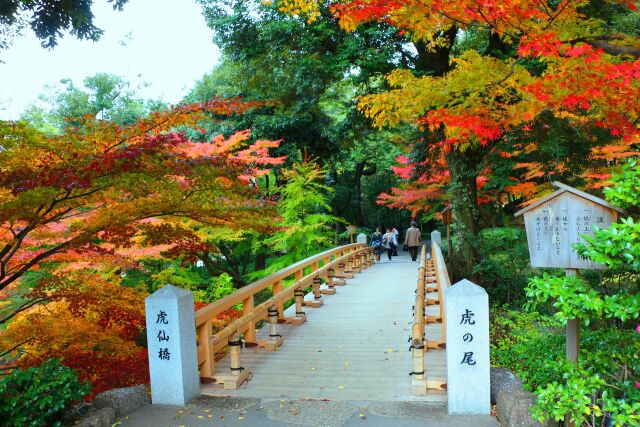 徳川園19年12月6日