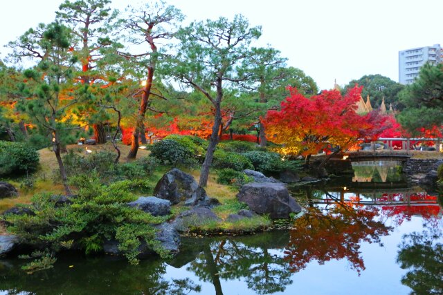 白川庭園19年12月6 日